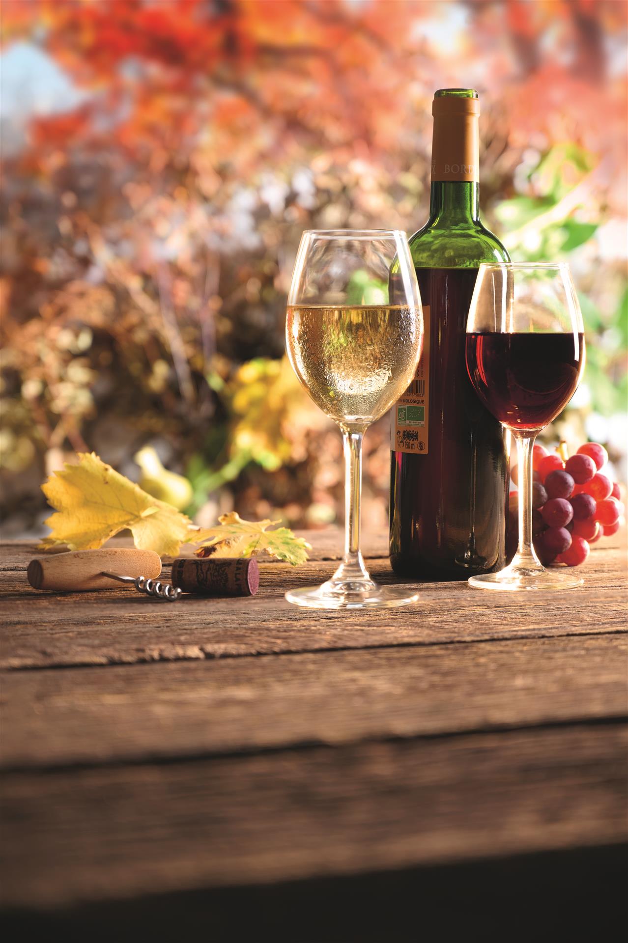 Foire aux vins