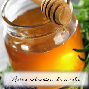 MANOIR DES ABEILLES MANOIR DES ABEILLES