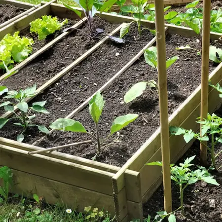 L'ATELIER DES BONS PLANTS