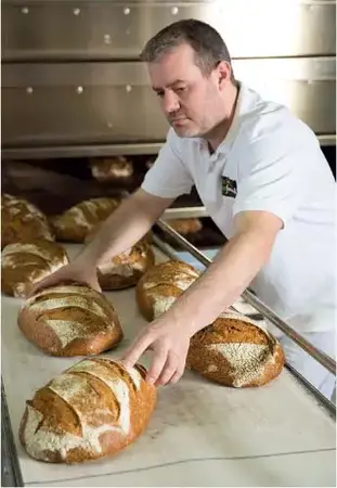BOULANGERIE ANGELUS