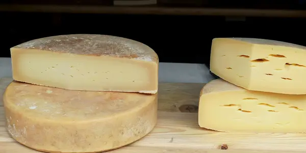 TI FERM BELLEVUE