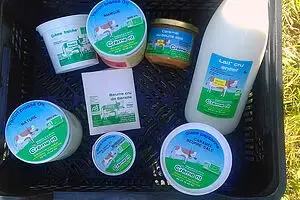 LA CREME RIT