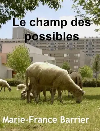 Projection débat : Le champ des possibles